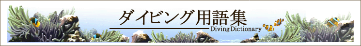 ダイビング用語集