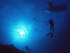 ベストシーズンは梅雨明け