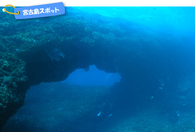 八丈島スポット