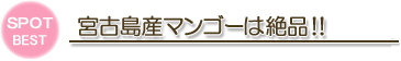 八丈島産マンゴーは絶品！！