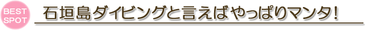 他では味わえない地形ダイビングを体験しよう！