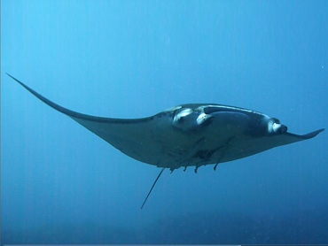 アントニオガウディ