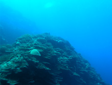 ベストシーズンは梅雨明け