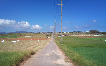 石垣島特別情報