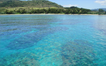 ベストシーズンはやっぱり梅雨明け