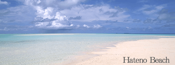 ダイビング用語集