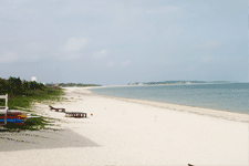 久米島ダイビングプラン