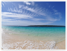 ベストシーズンは梅雨明け