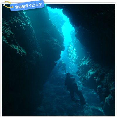 宮古島ダイビング