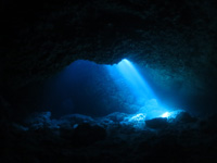 アクアティックアドベンチャー