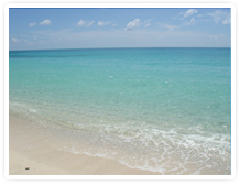 海の美しさは抜群!