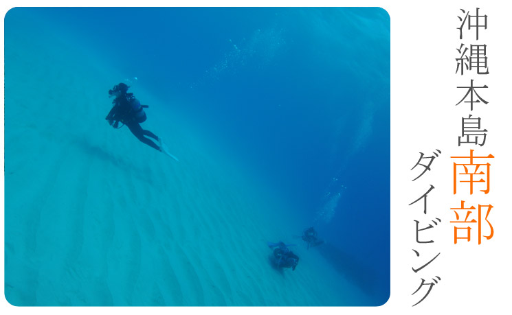 沖縄本島南部ダイビング