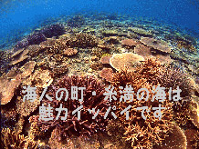 海人の町・糸満の海は魅力イッパイです。