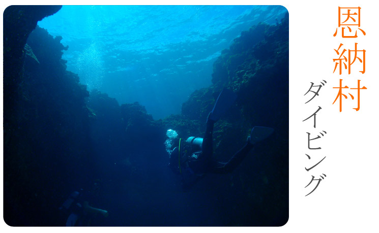 恩納村ダイビング