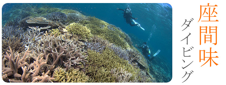 座間味ダイビング